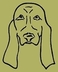 http://www.bernsky-honic.cz/stanice.php?lang=&id=295